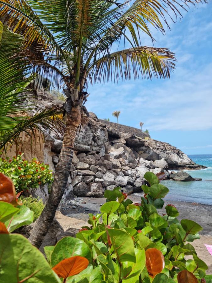 Stunning Studio With A Sea View And Pool, Paraiso Del Sur 1309 Costa Adeje  Eksteriør billede